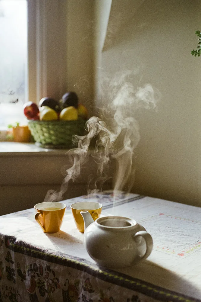 A photograph by Ali Bosworth in the selection Spring 2012