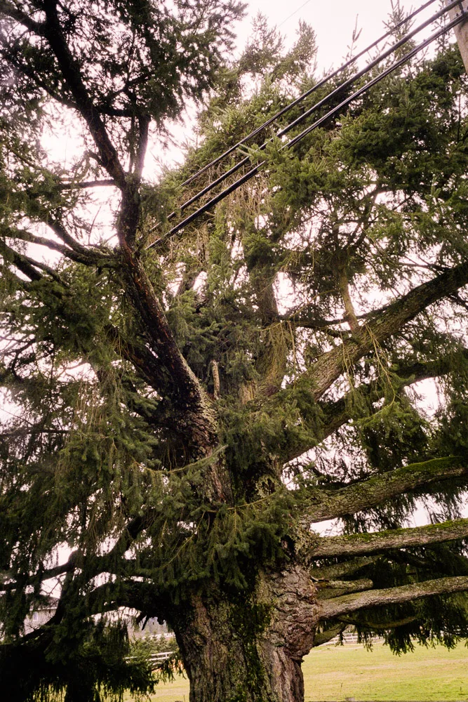 A photograph by Ali Bosworth in the selection Spring 2012