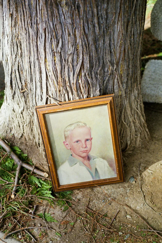 A photograph by Ali Bosworth in the selection Spring 2012