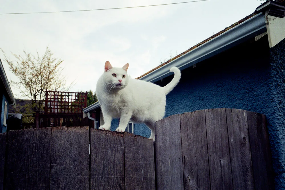 A photograph by Ali Bosworth in the selection Spring 2012