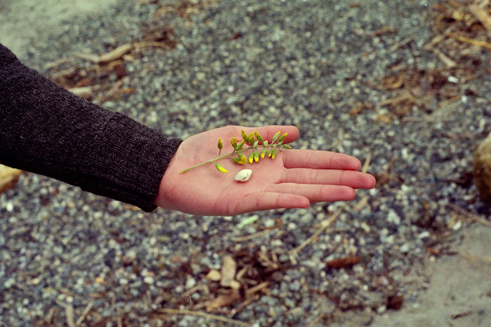 A photograph by Ali Bosworth in the selection Spring 2012