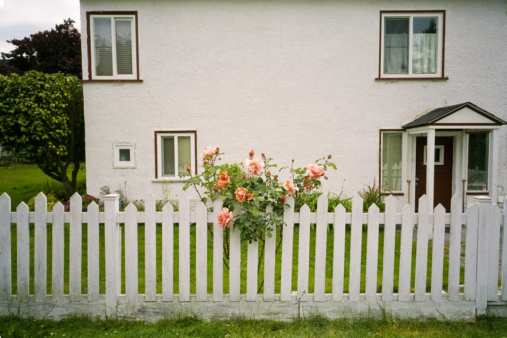A photograph by Ali Bosworth in the selection Summer 2012