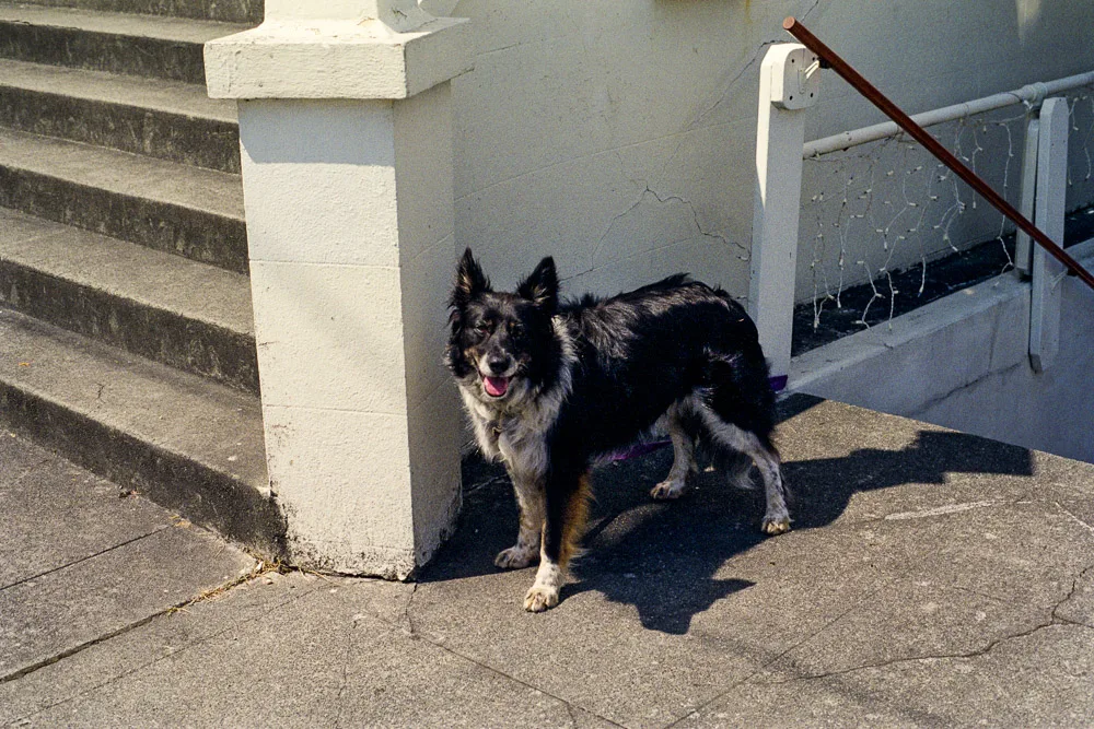A photograph by Ali Bosworth in the selection Summer 2012