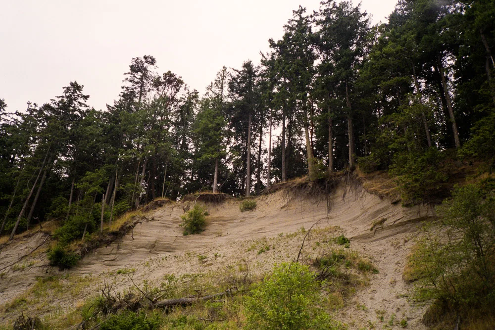 A photograph by Ali Bosworth in the selection Summer 2012