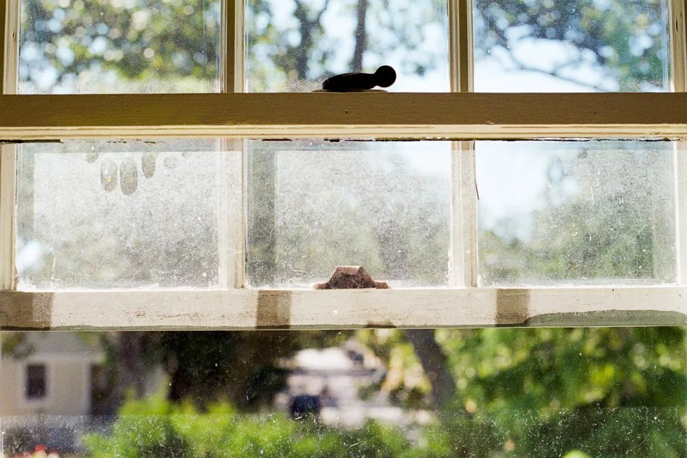 A photograph by Ali Bosworth in the selection Summer 2012