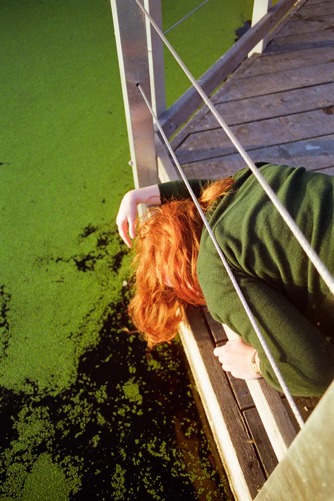 A photograph by Ali Bosworth in the selection Fall 2012