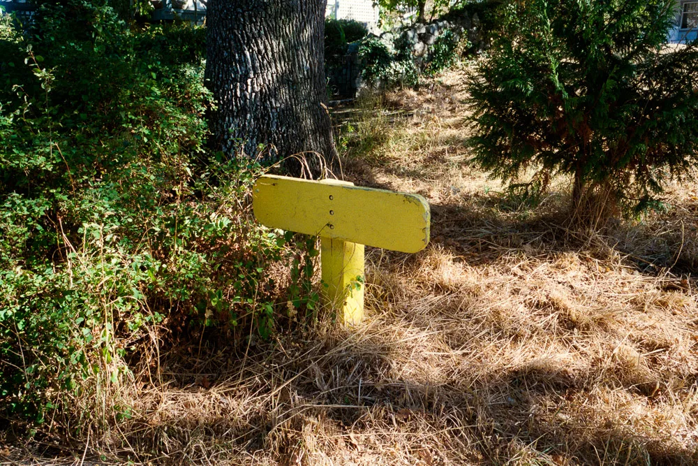 A photograph by Ali Bosworth in the selection Fall 2012