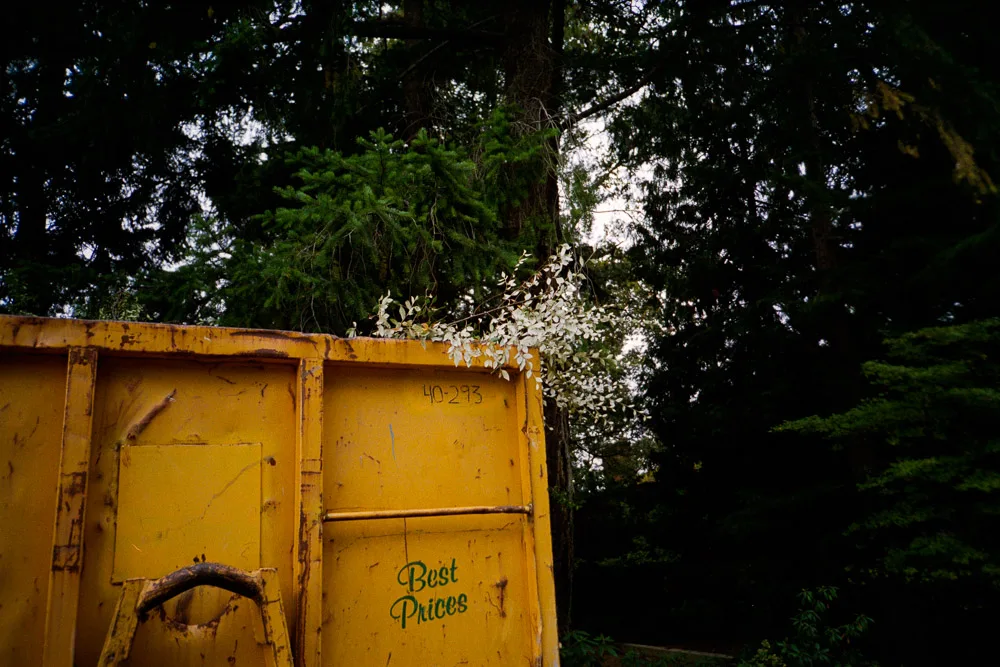 A photograph by Ali Bosworth in the selection Fall 2012