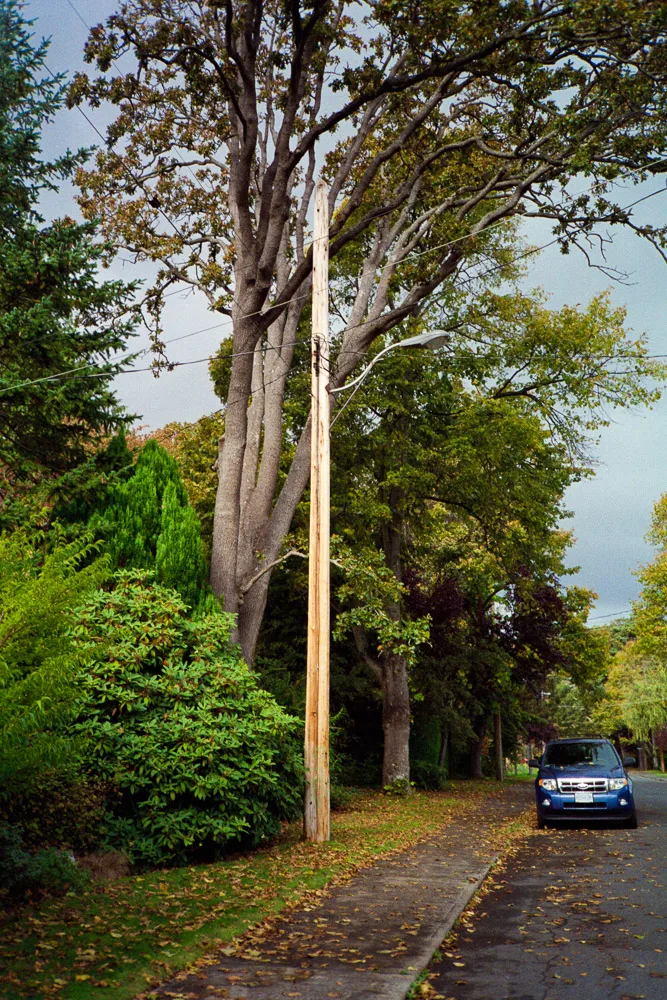 A photograph by Ali Bosworth in the selection Fall 2012