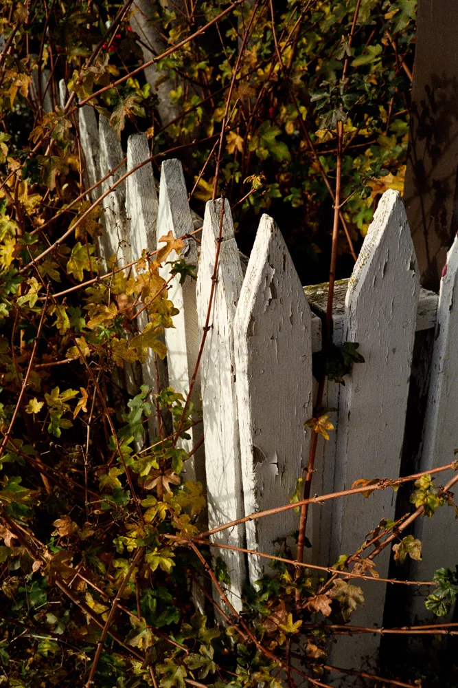 A photograph by Ali Bosworth in the selection Winter 2012