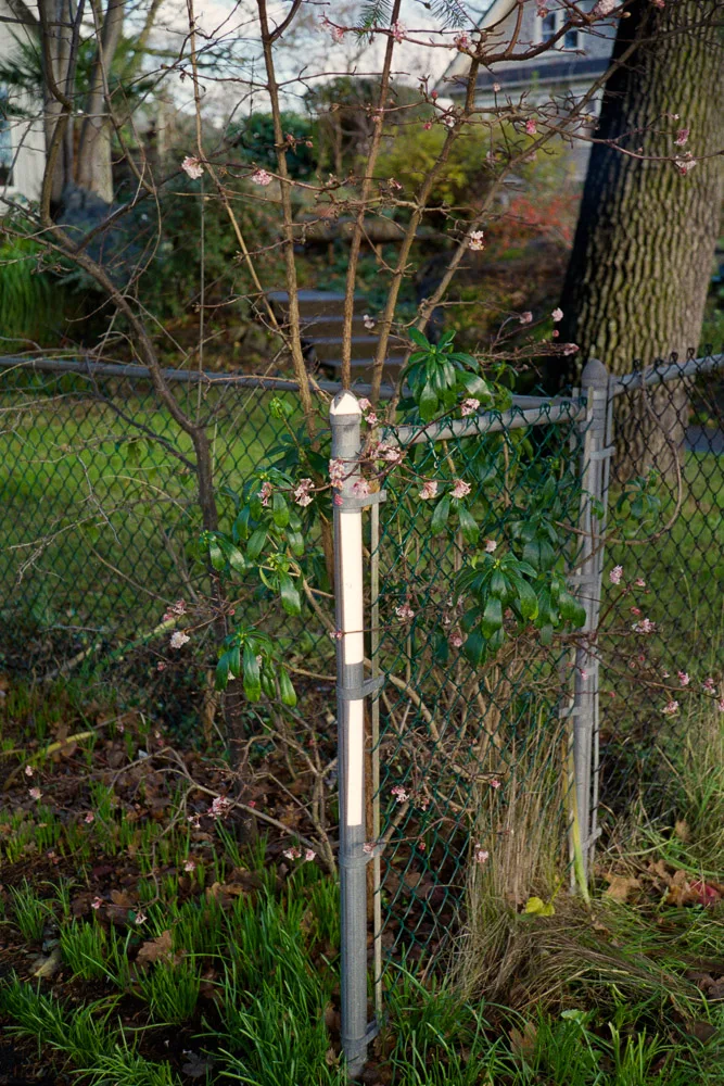 A photograph by Ali Bosworth in the selection Winter 2012