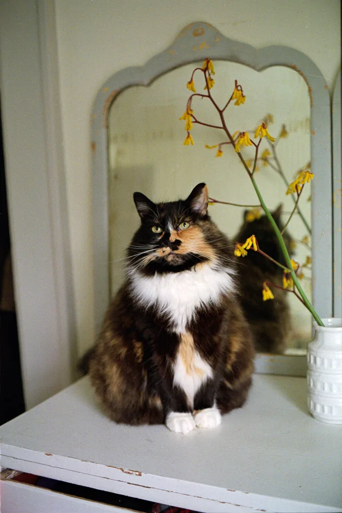 A photograph by Ali Bosworth in the selection Winter 2012