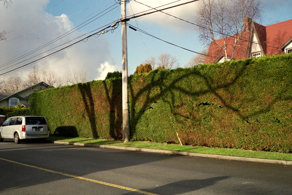 A photograph by Ali Bosworth in the selection 2013 - Selection B