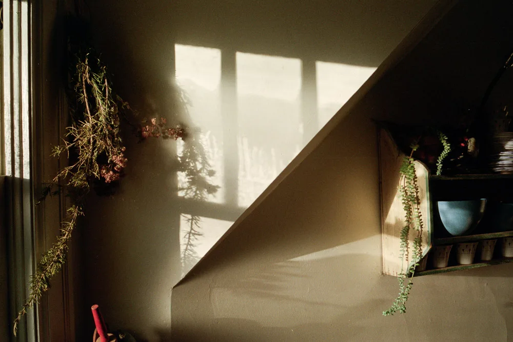 A photograph by Ali Bosworth in the selection 2013 - Selection D