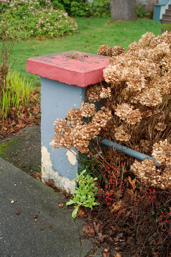 A photograph by Ali Bosworth in the selection 2013 - Selection C