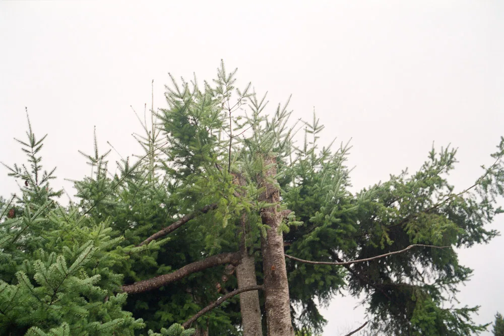 A photograph by Ali Bosworth in the selection 2013 - Selection B