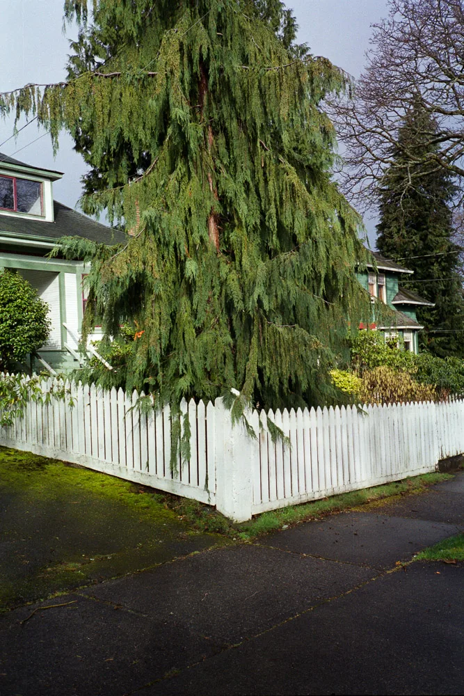 A photograph by Ali Bosworth in the selection 2013 - Selection C