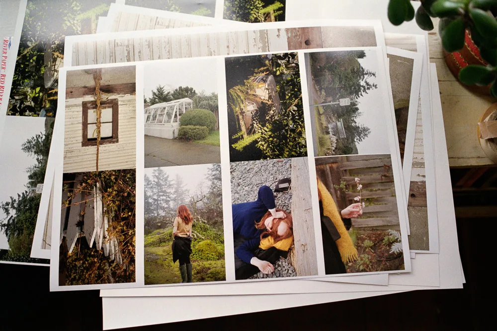 A photograph by Ali Bosworth in the selection 2013 - Selection D