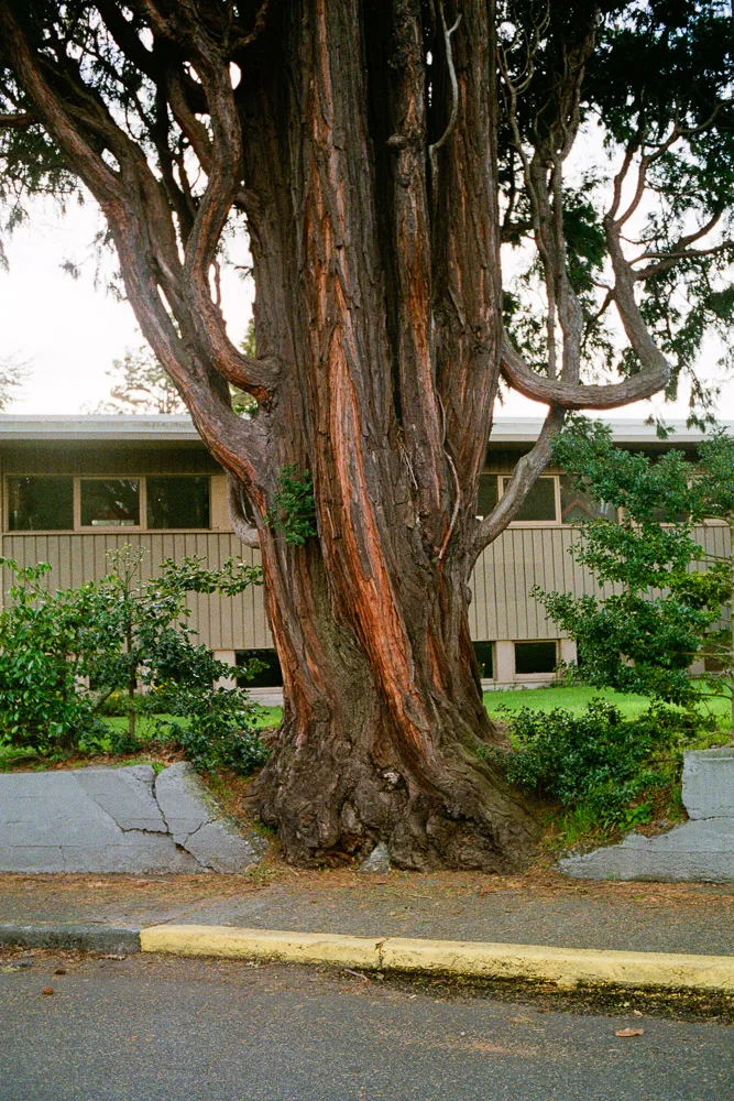 A photograph by Ali Bosworth in the selection 2013 - Selection B