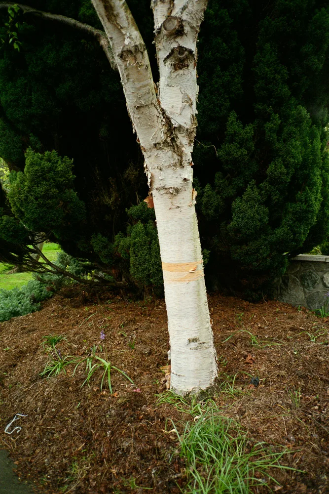A photograph by Ali Bosworth in the selection 2013 - Selection D
