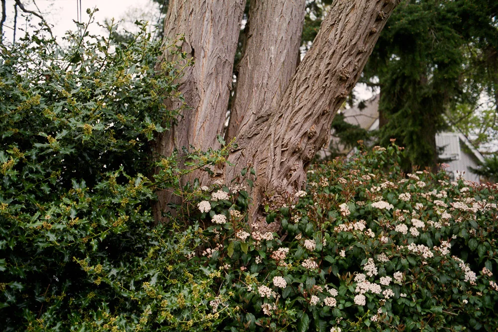 A photograph by Ali Bosworth in the selection 2013 - Selection C