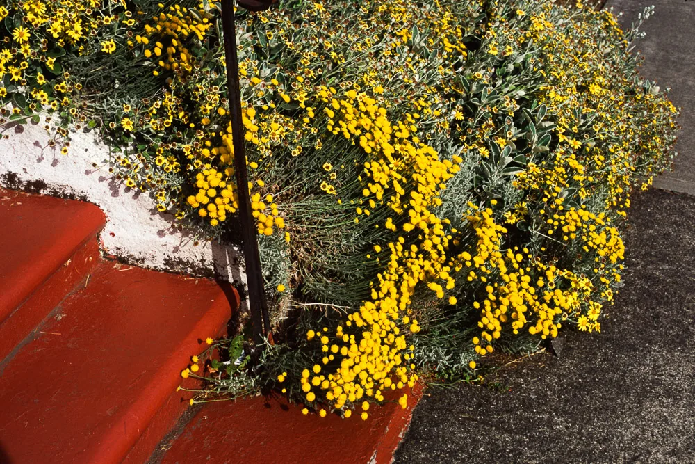A photograph by Ali Bosworth in the selection 2013 - Selection D