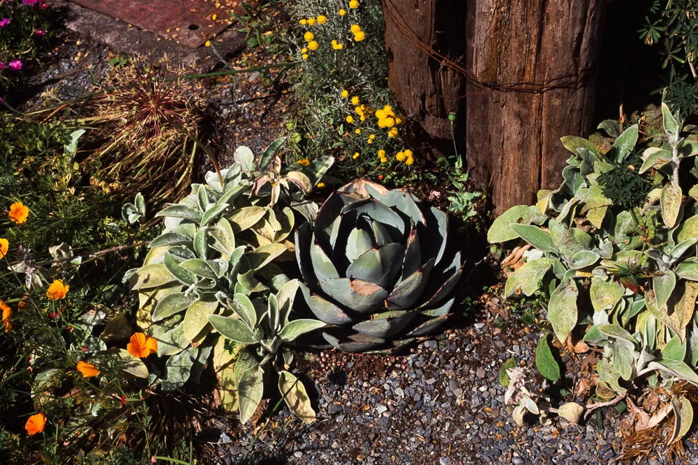 A photograph by Ali Bosworth in the selection 2013 - Selection B