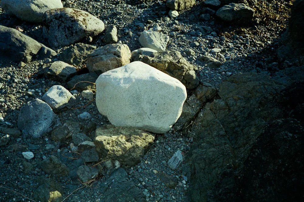A photograph by Ali Bosworth in the selection 2013 - Selection D