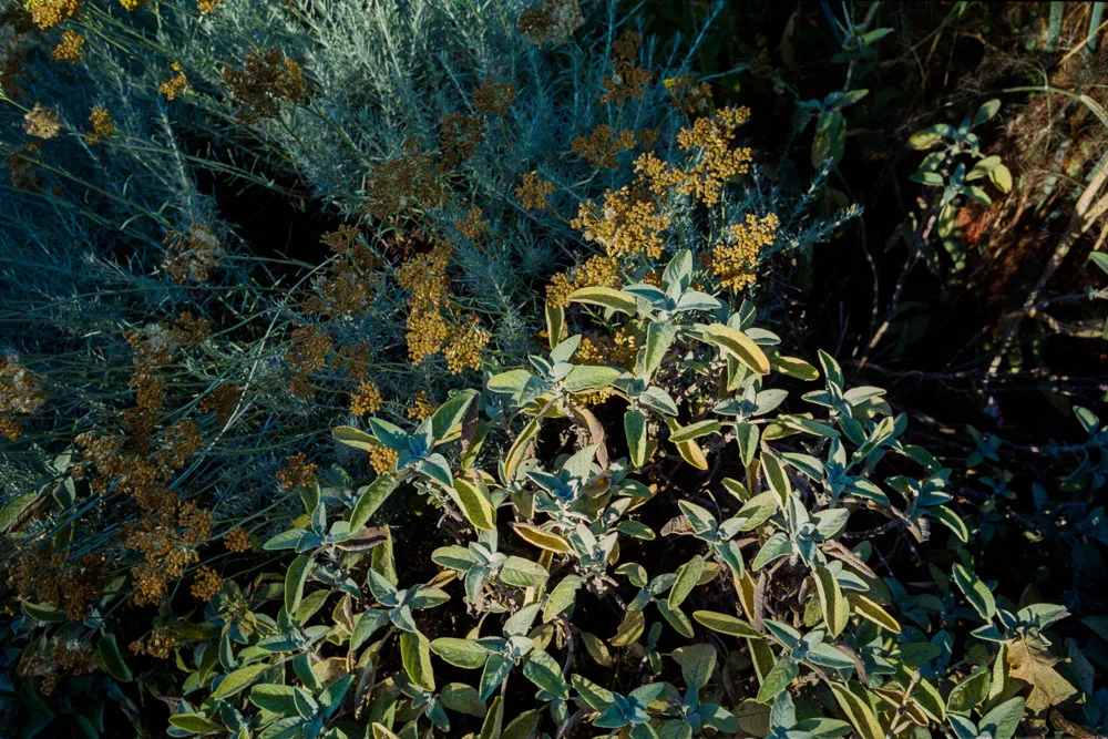 A photograph by Ali Bosworth in the selection 2013 - Selection B