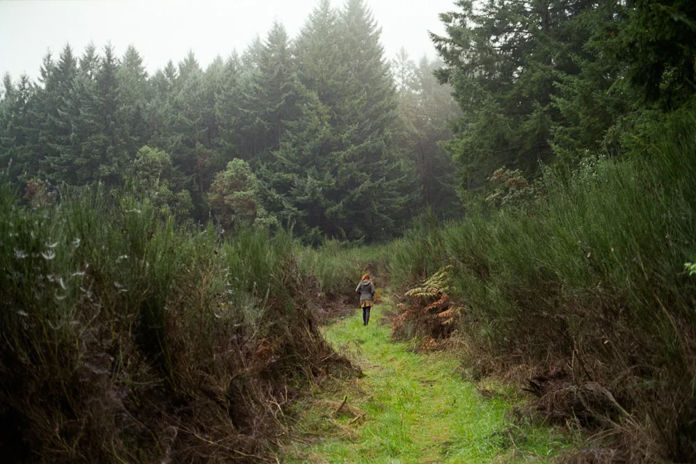A photograph by Ali Bosworth in the selection 2013 - Selection D