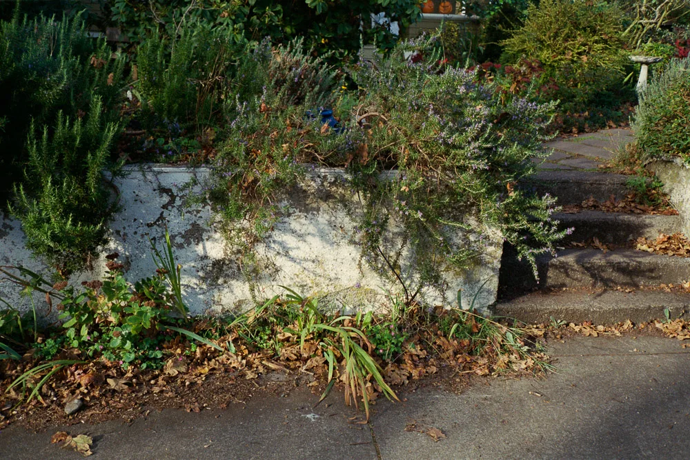 A photograph by Ali Bosworth in the selection 2013 - Selection D