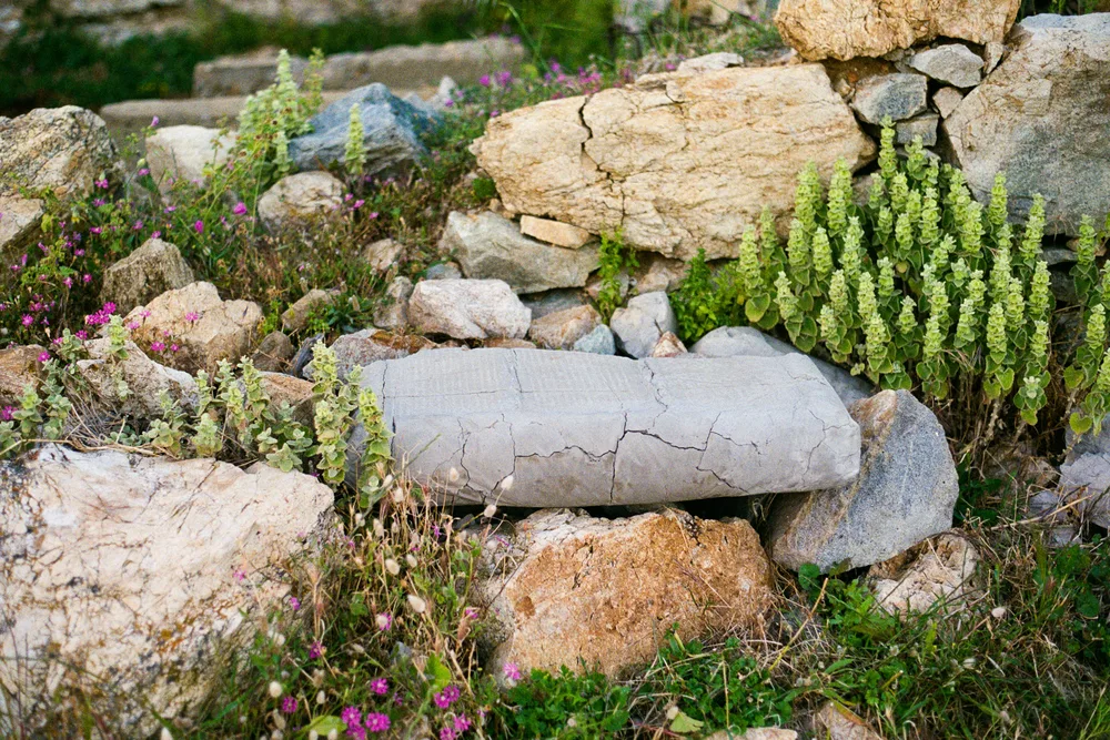 A photograph by Ali Bosworth in the selection Bagrocks