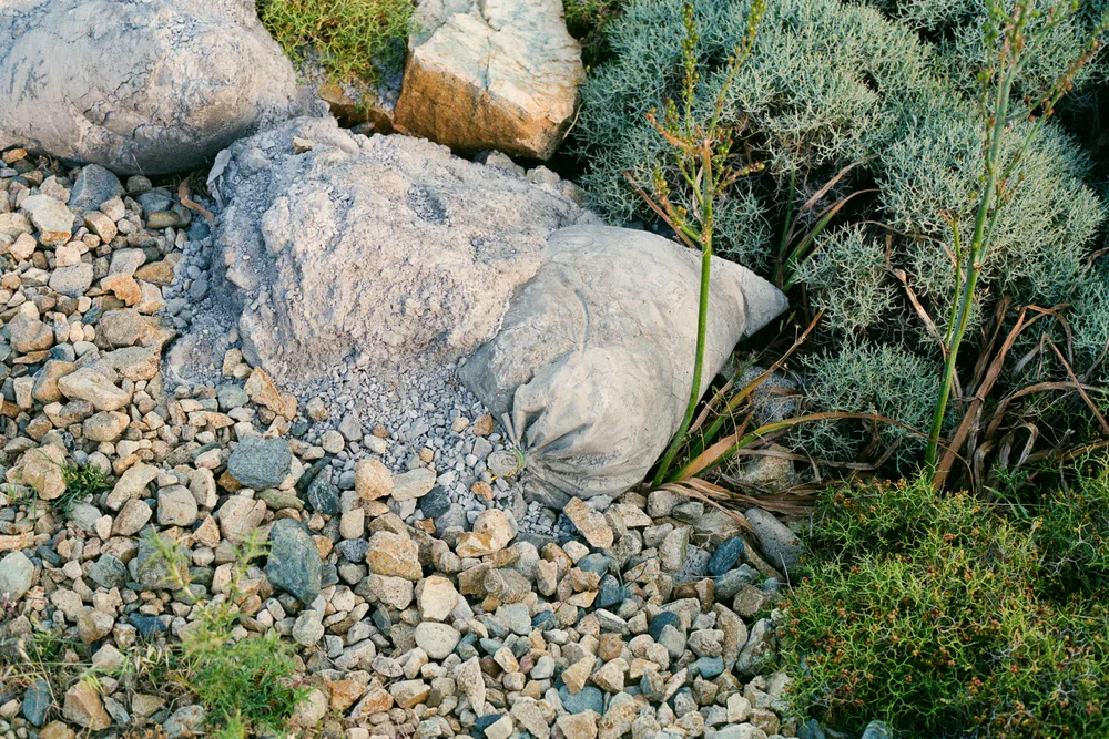 A photograph by Ali Bosworth in the selection Bagrocks
